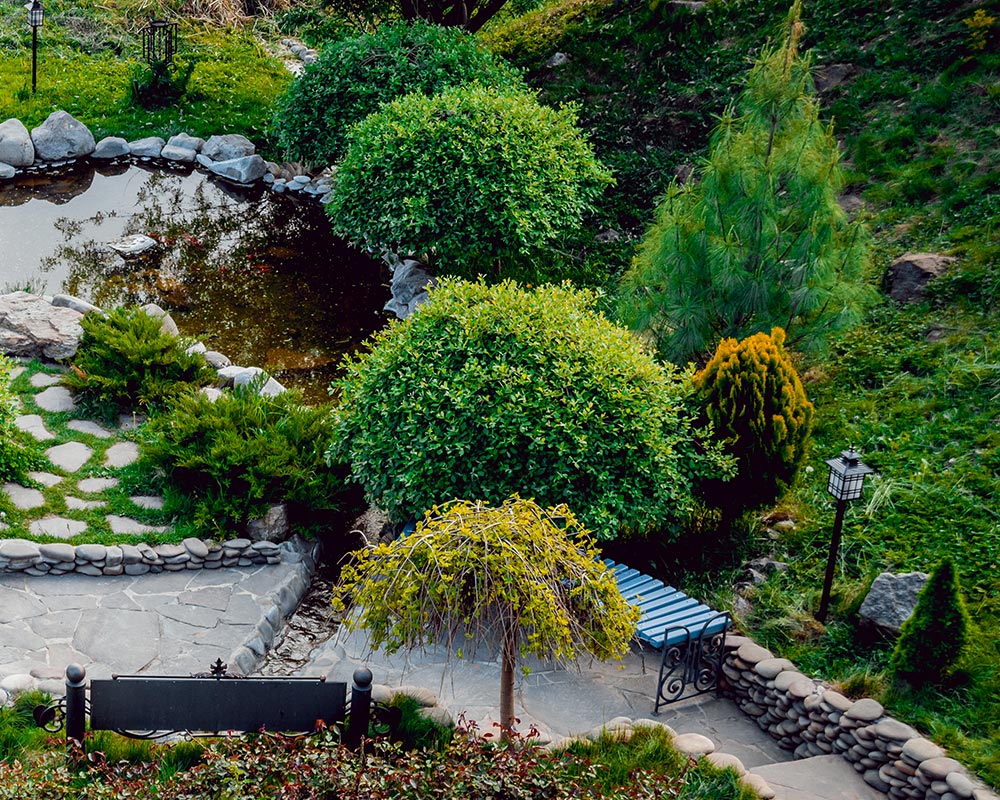 Альпийская горка своими руками на неровных участках